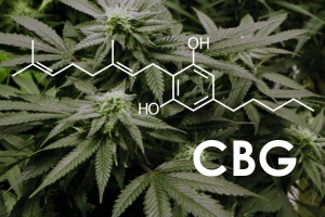 cbg-ultimate-cannabinoid-08-10